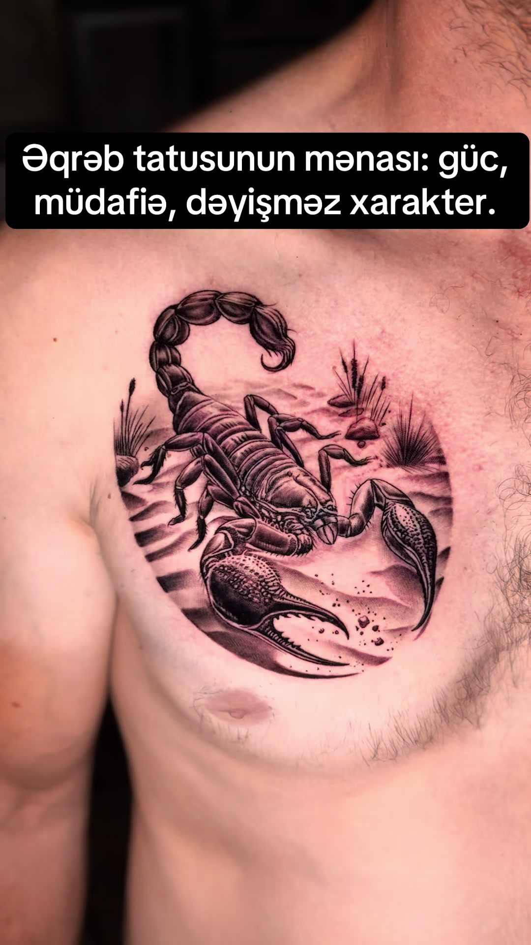 @TattooSamir Yevlax