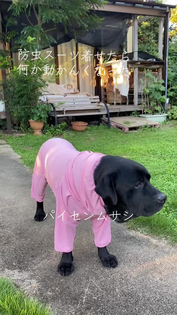 @サン&タマ