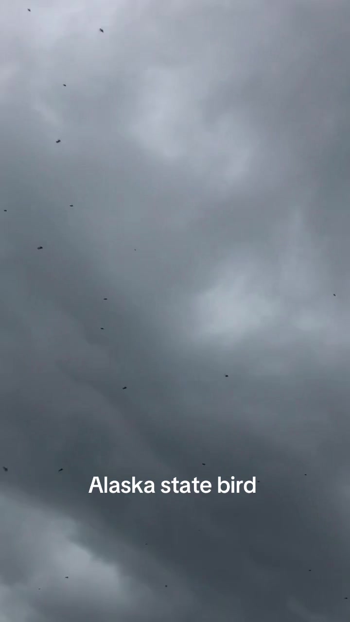 @RavenSleeps