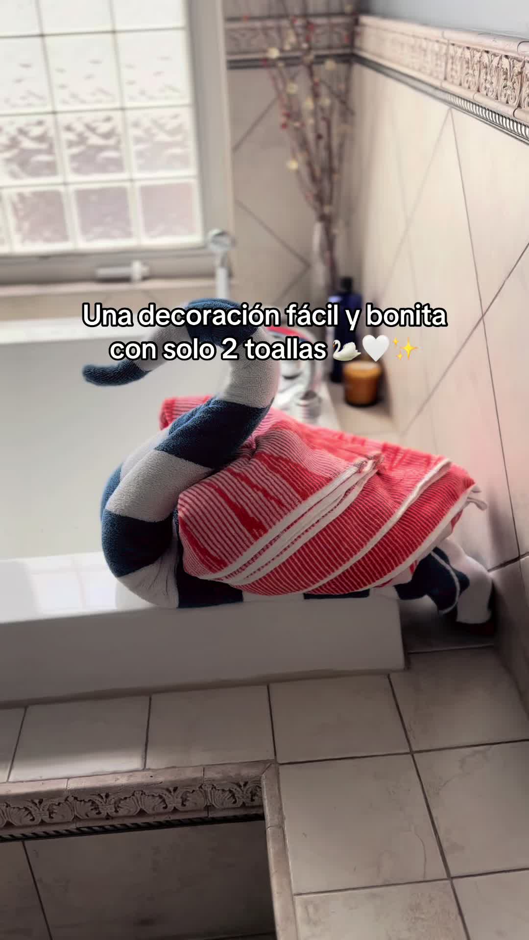 @Fabioli’s Cleaning acción