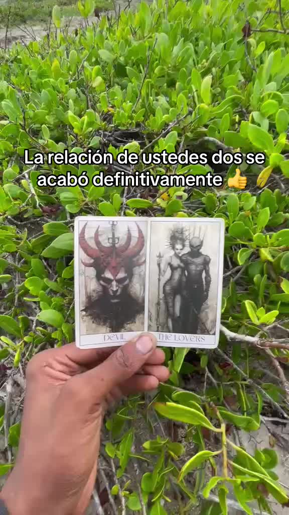 @San Miguel Tarot Sin Secreto🔯