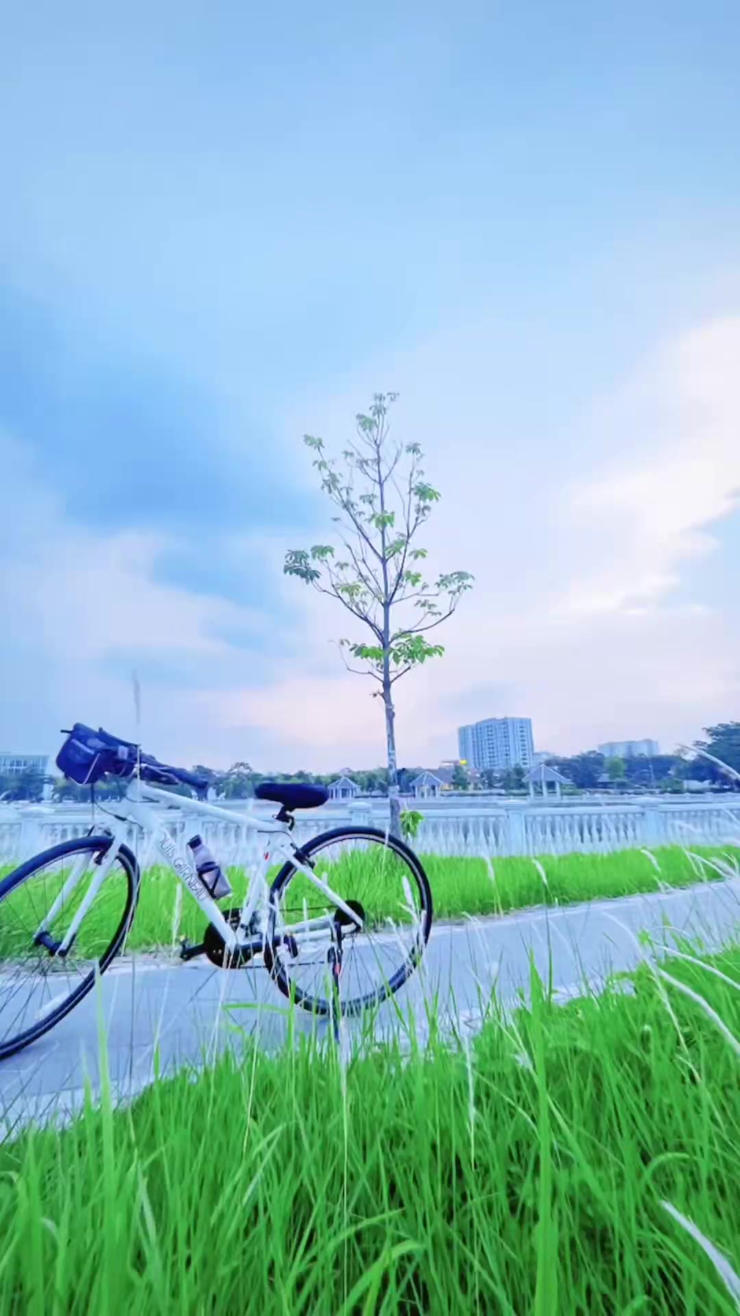 @Cô Mây Hà Nội