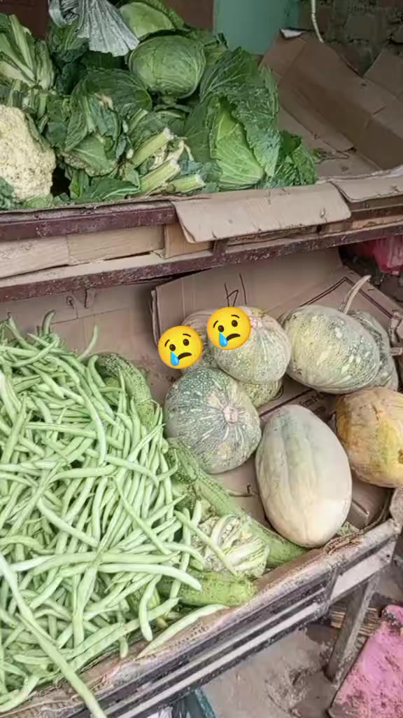 @kali