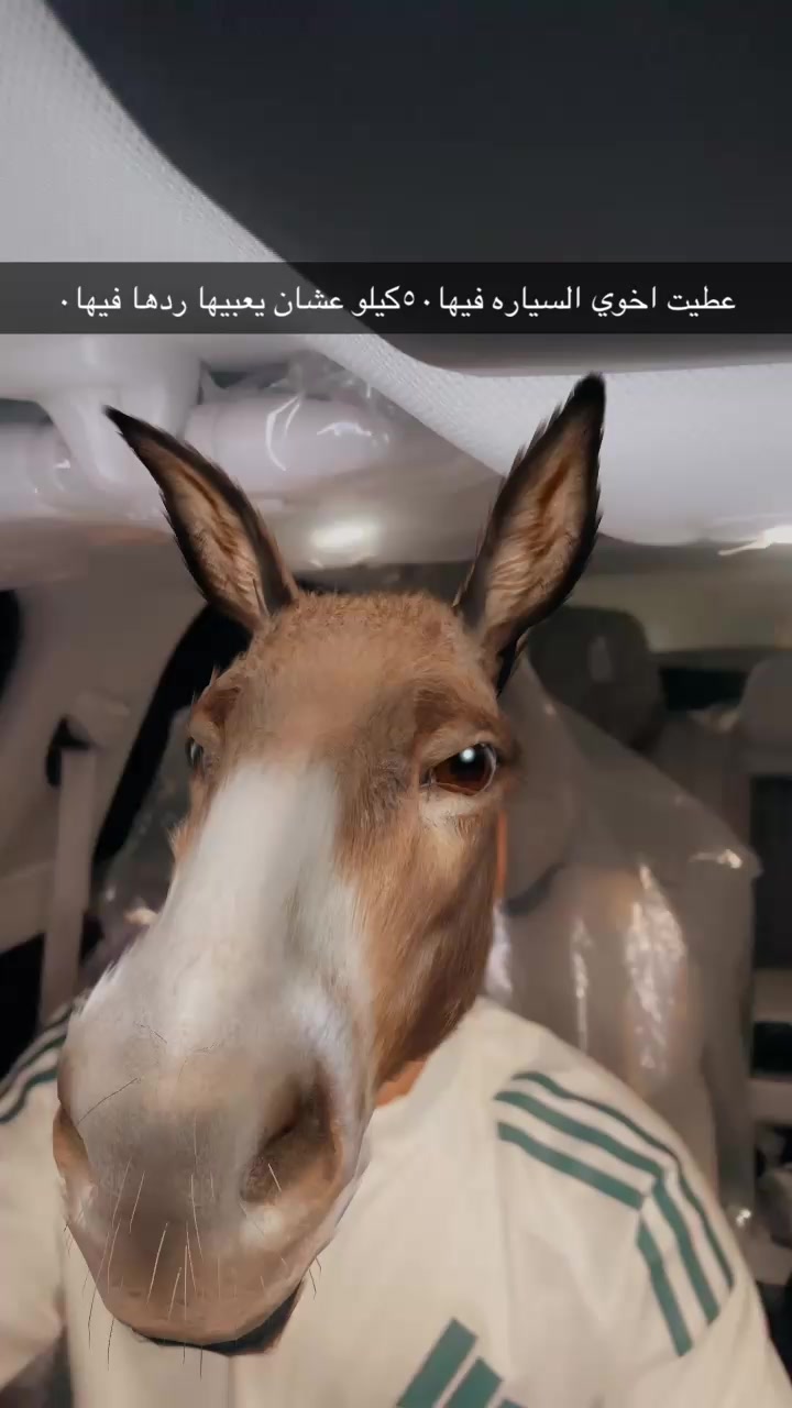 @ريان الجهني