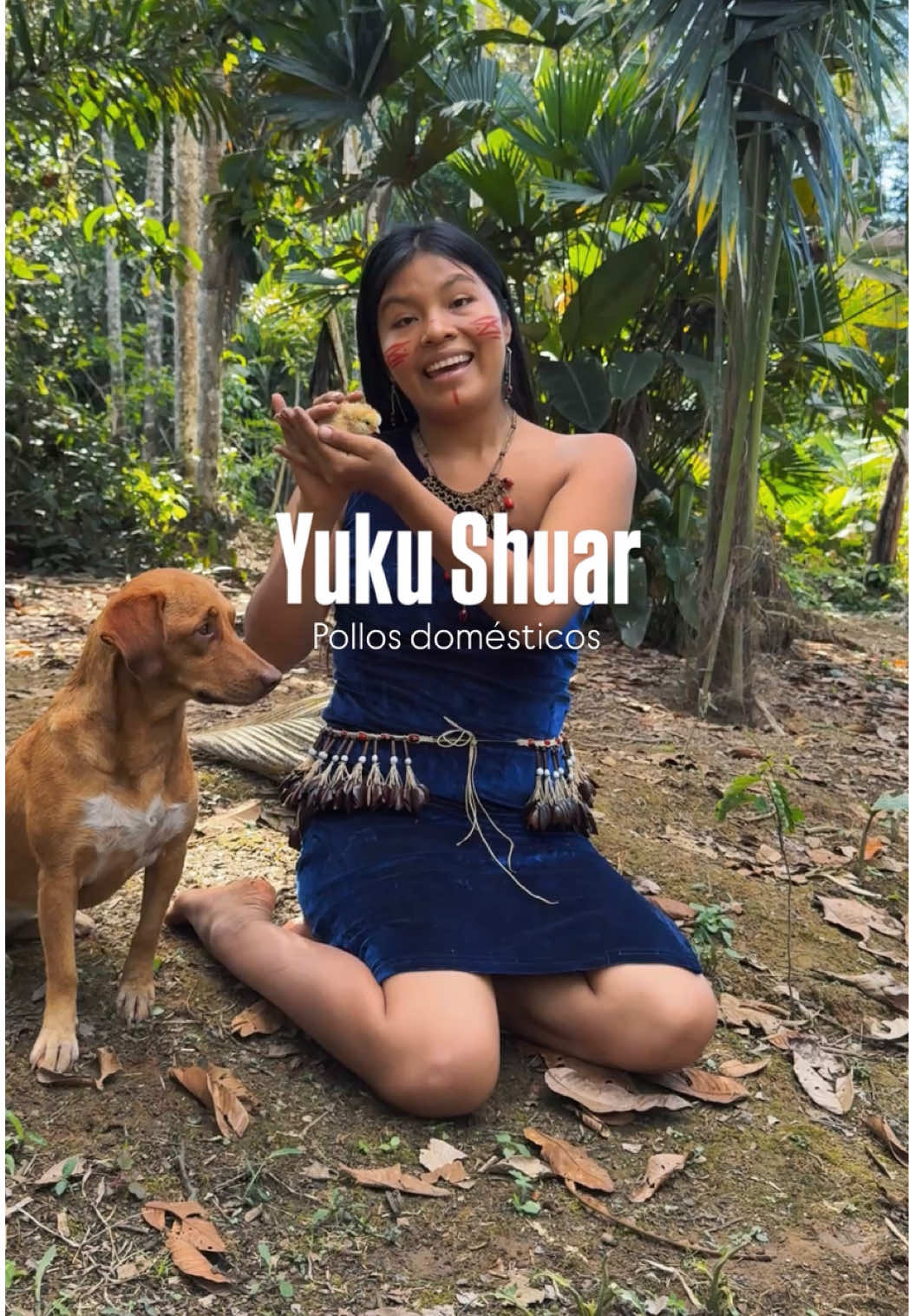 @Bio Shuar