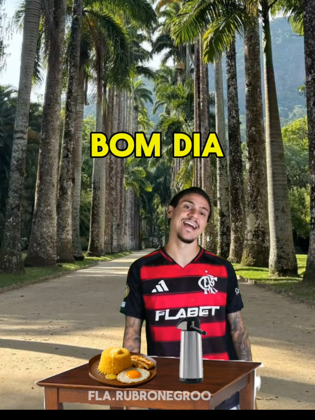 @Flamengo