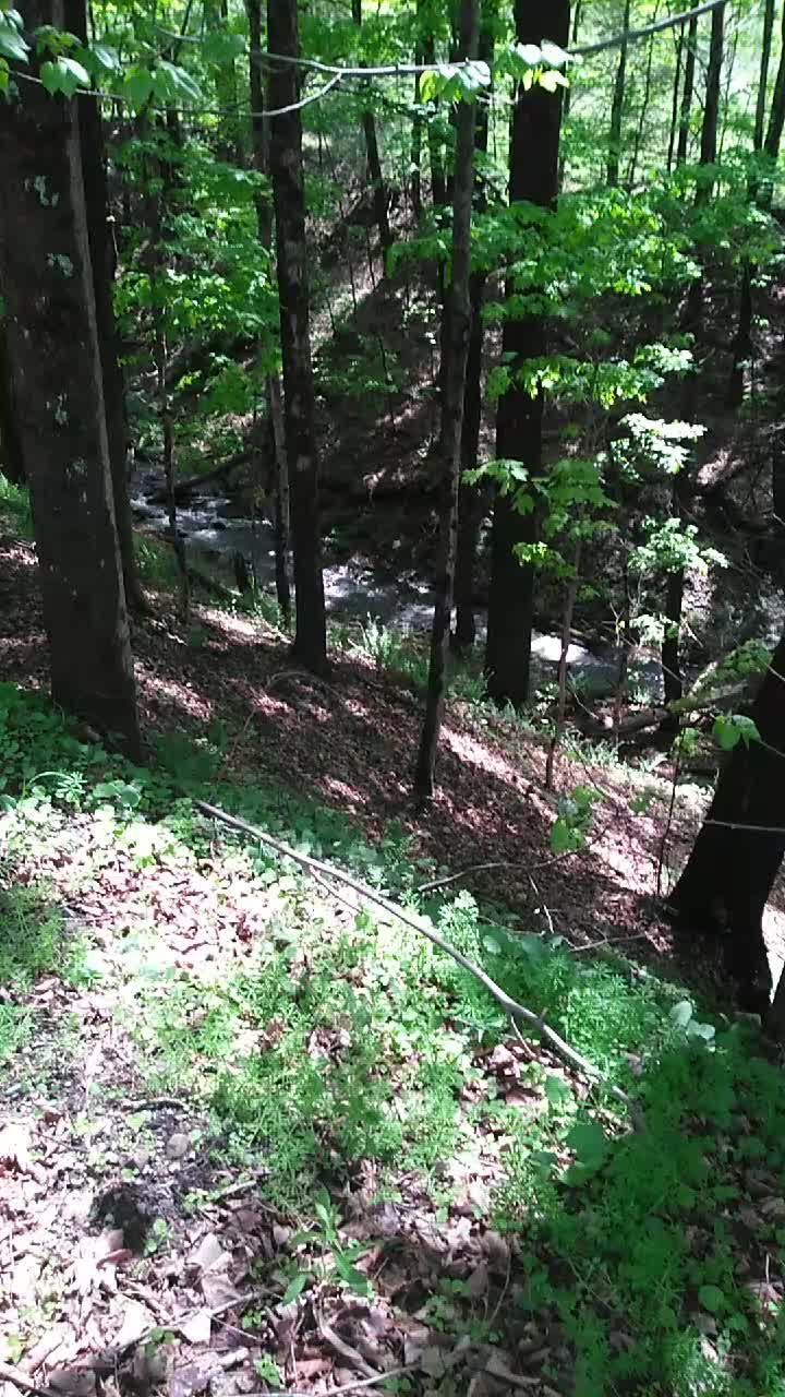 @thegoodnoise11