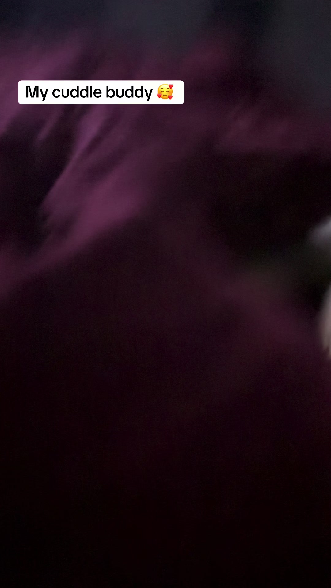 @Dani_