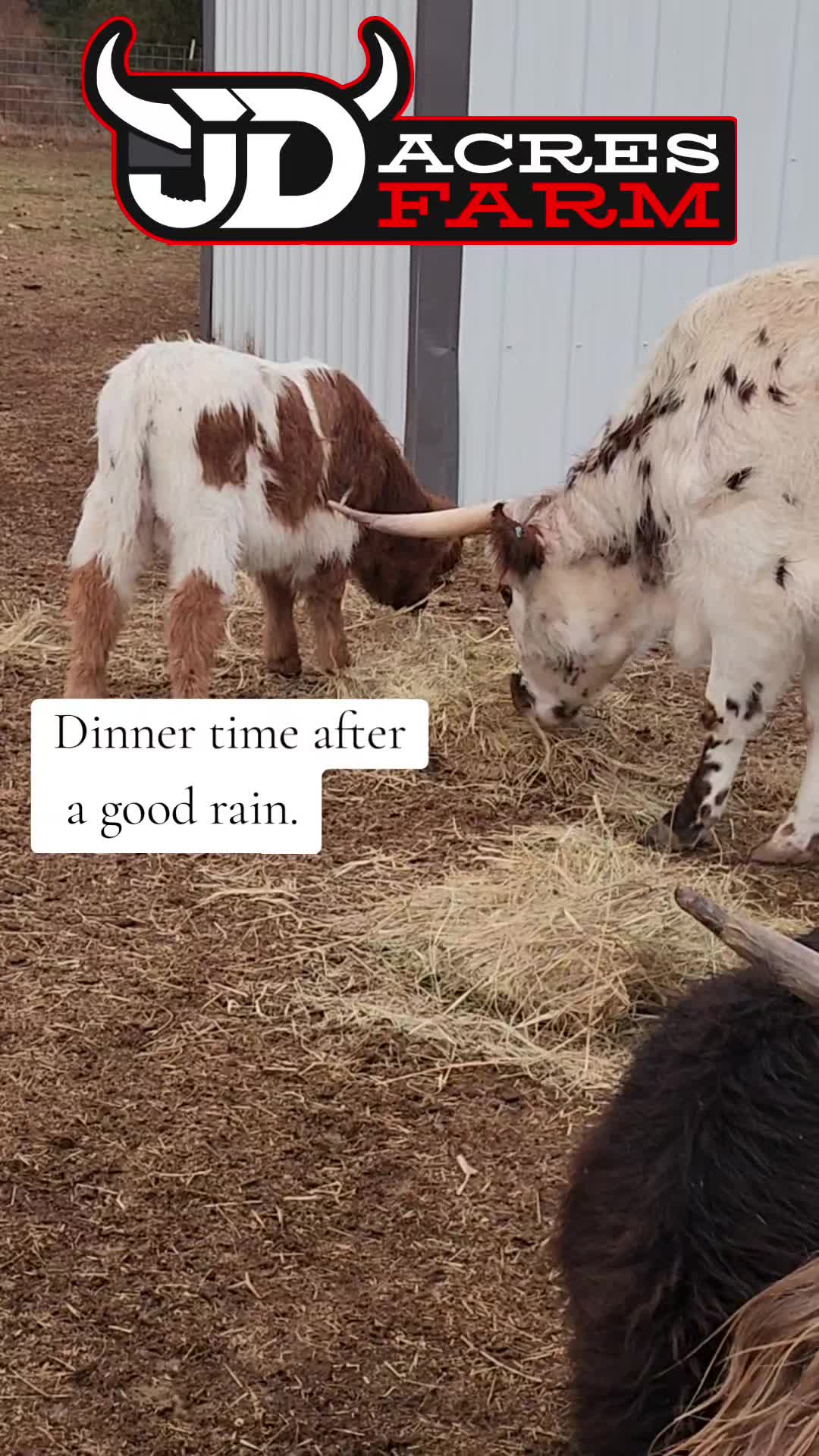 @JD Acres Farm