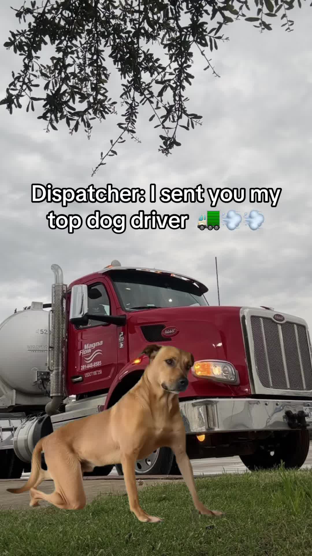 @Best_Truck_Driver_Alive🚛💨