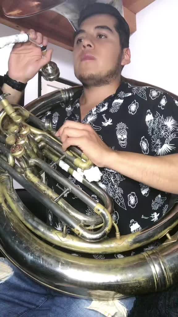 @Maestro_Tuba1