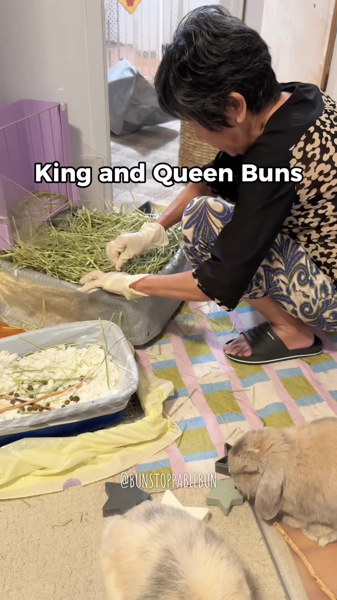 @BunBun, Mochi🌈, Chewy