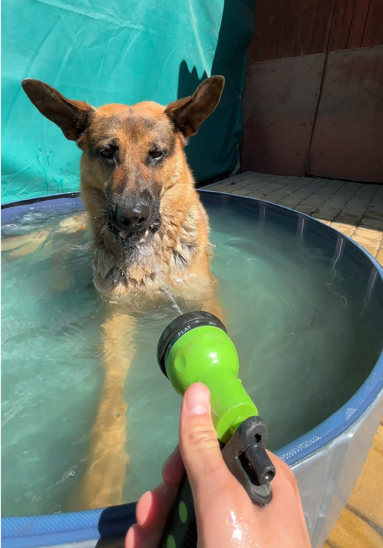 @I am Rocky.
