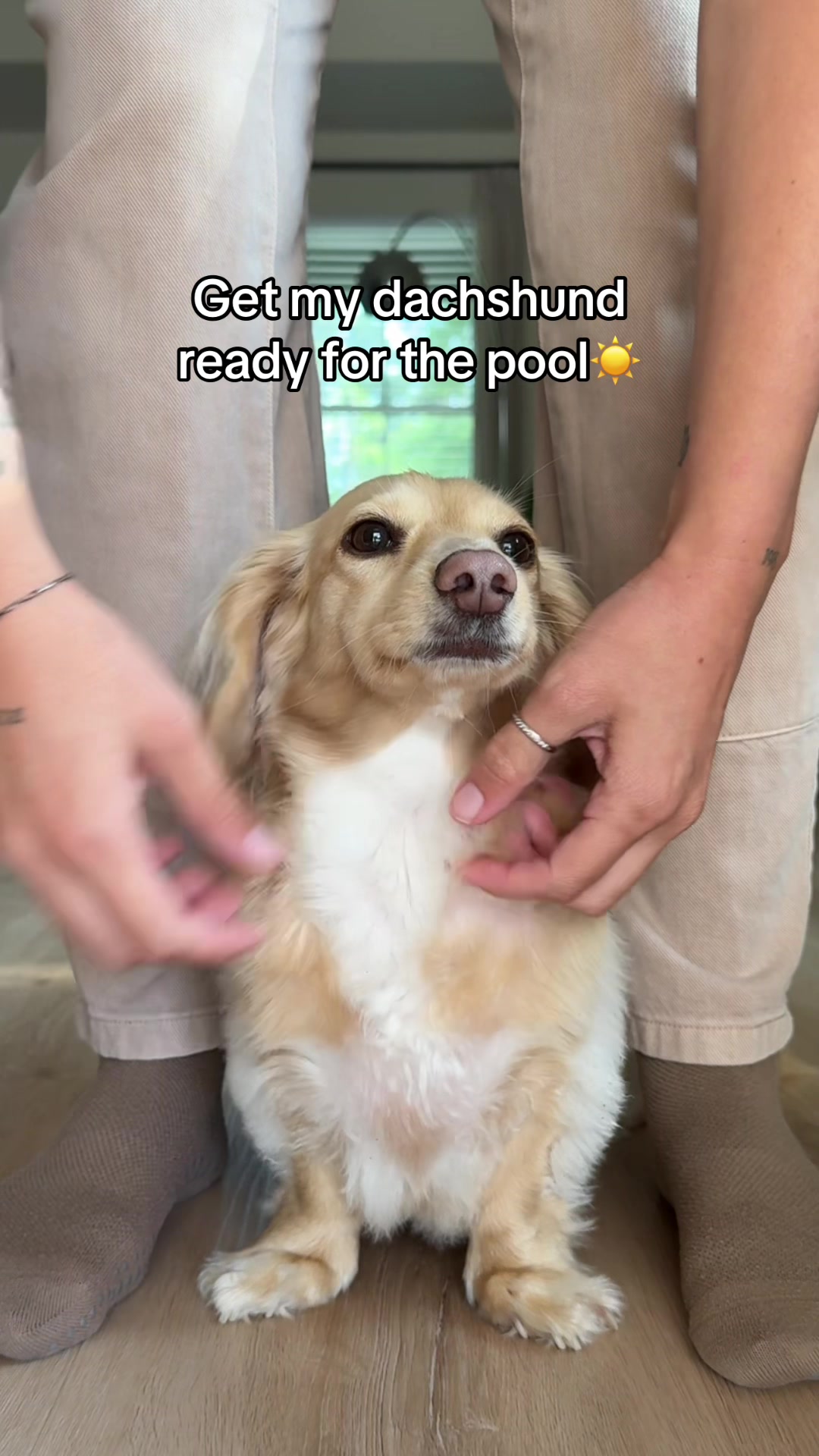 @Billiebeantheween