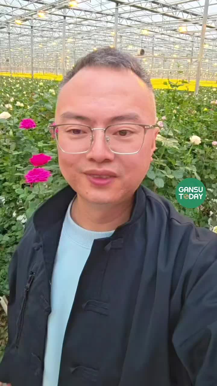 @GansuToday