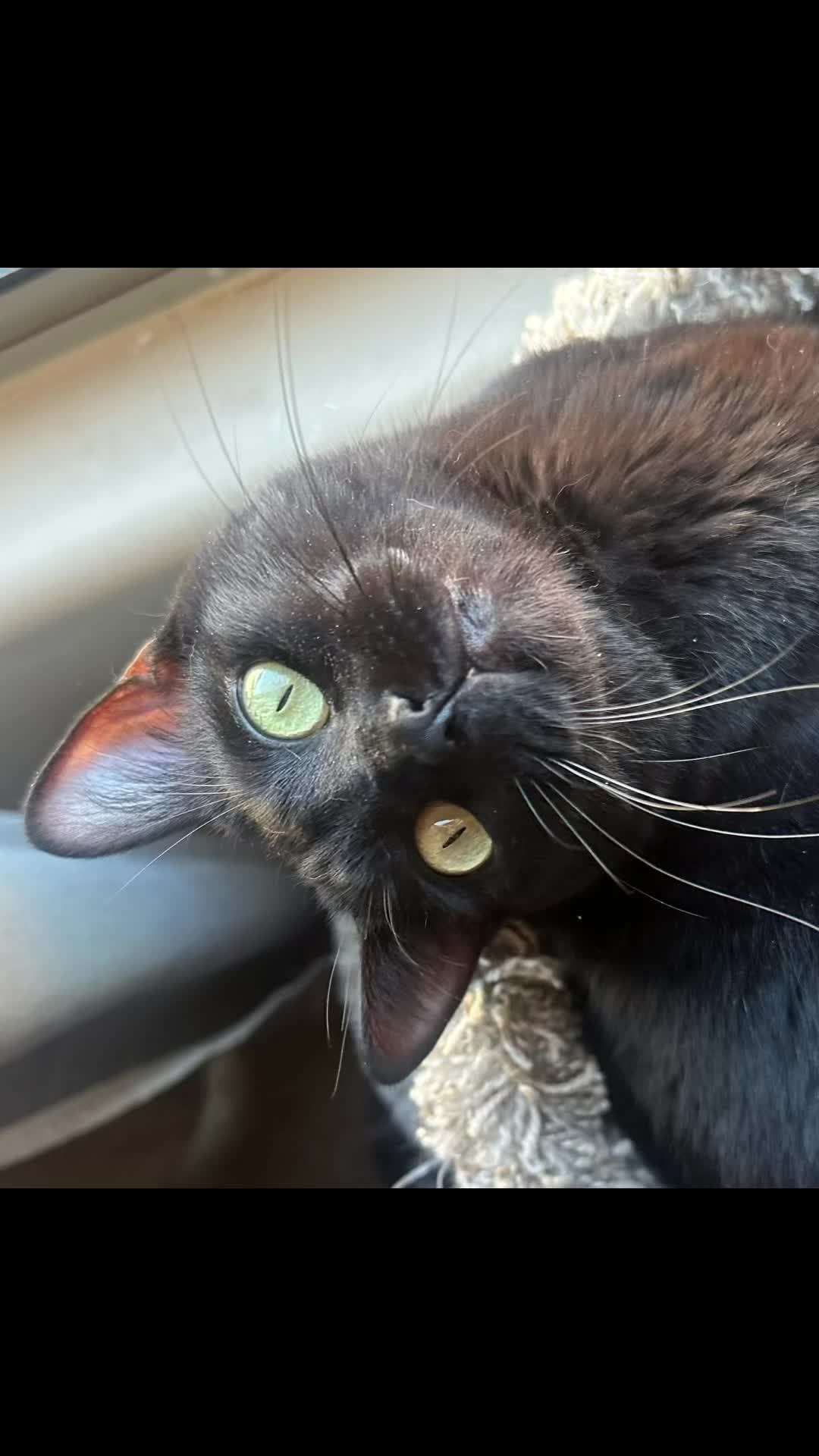 @🖤V🖤