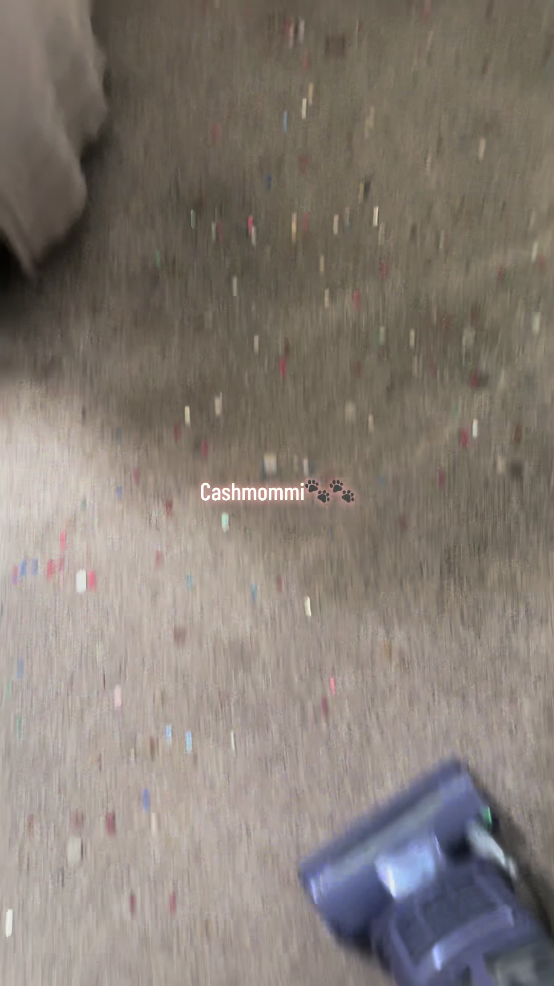 @CashmommiVacs