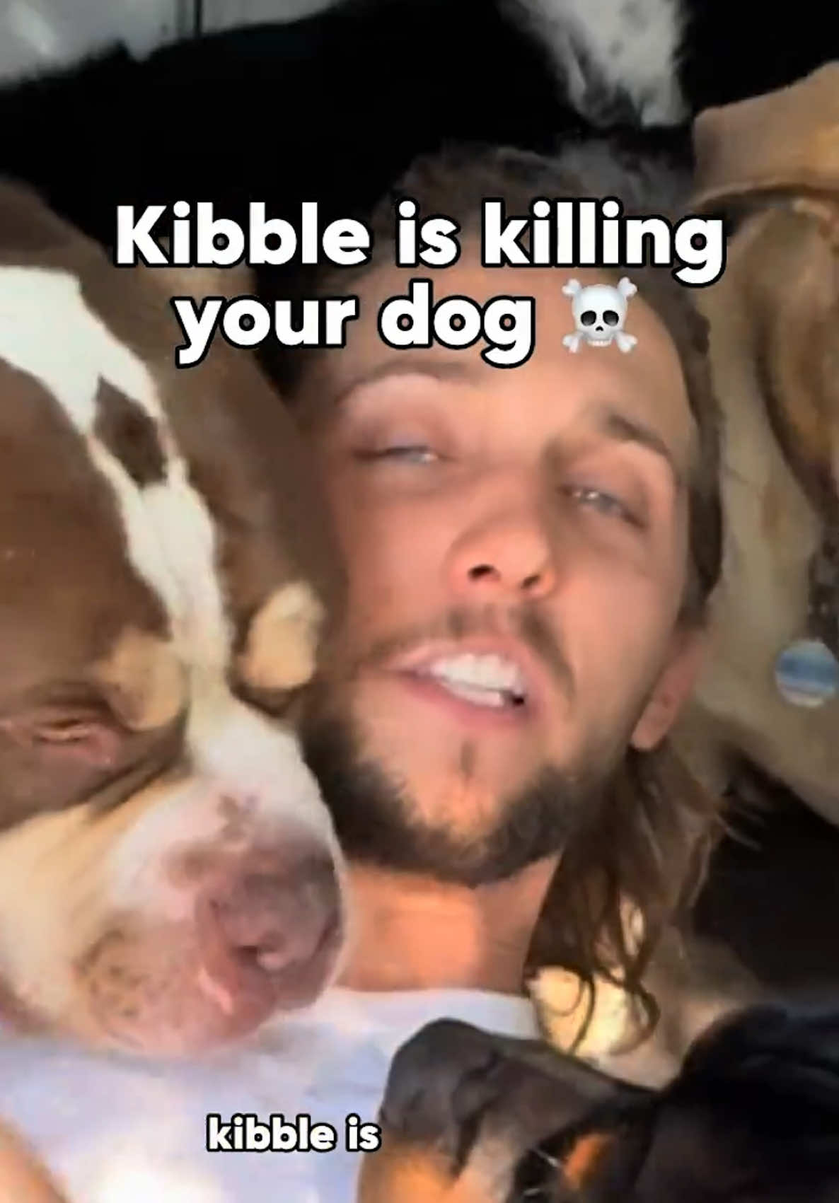 @The BK Pets - Dog Food Tips