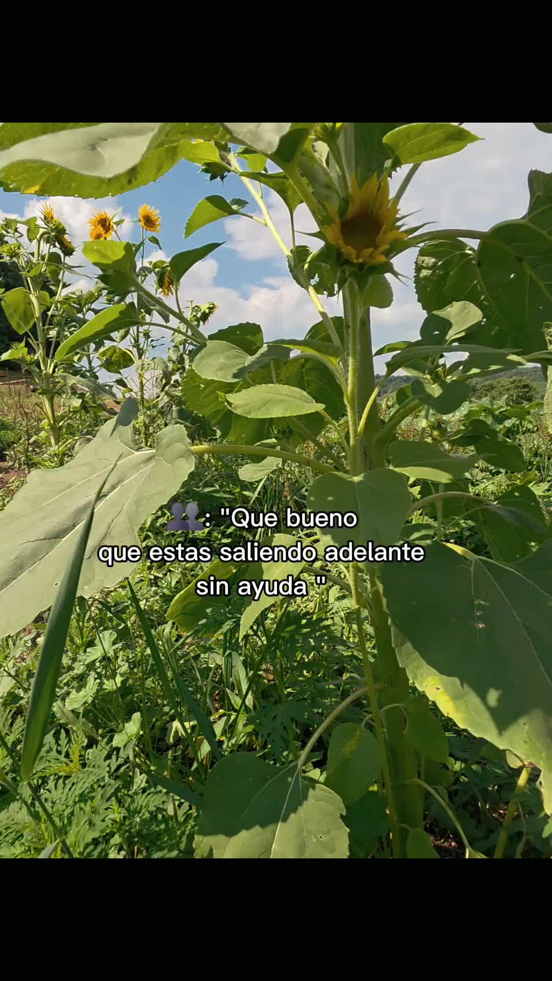 @𝙇𝙪𝙞𝙞502👨&zwj;🌾