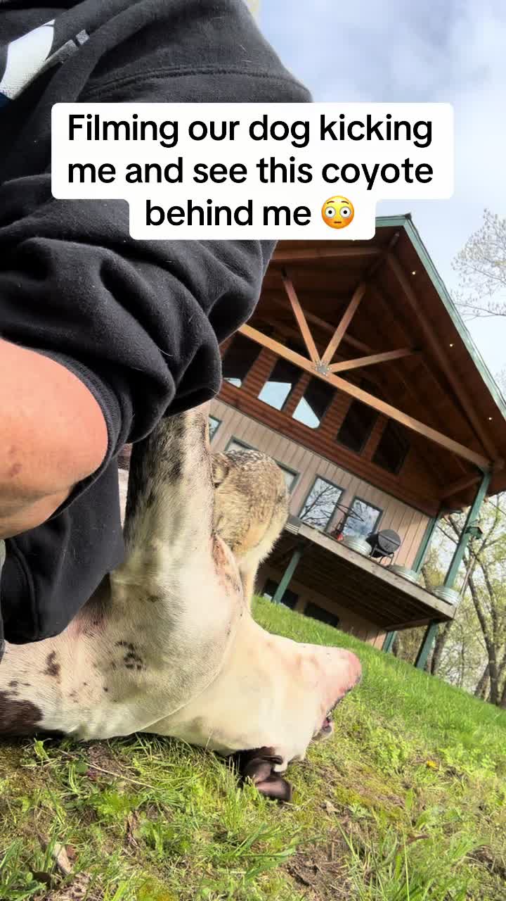 @ittybittyfarm1