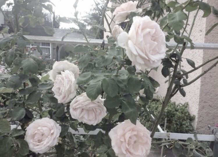 @๐๐ช๐ฏ๐ข๐ชฝ