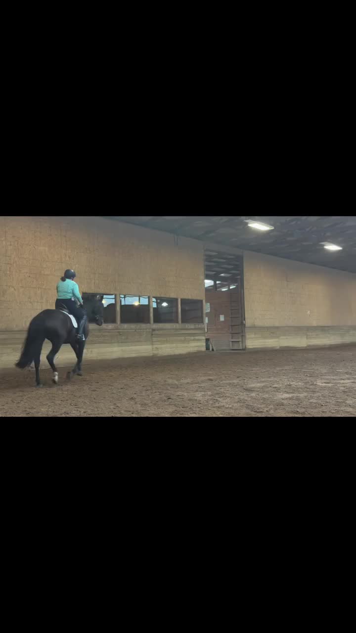 @KY Dressage Queen