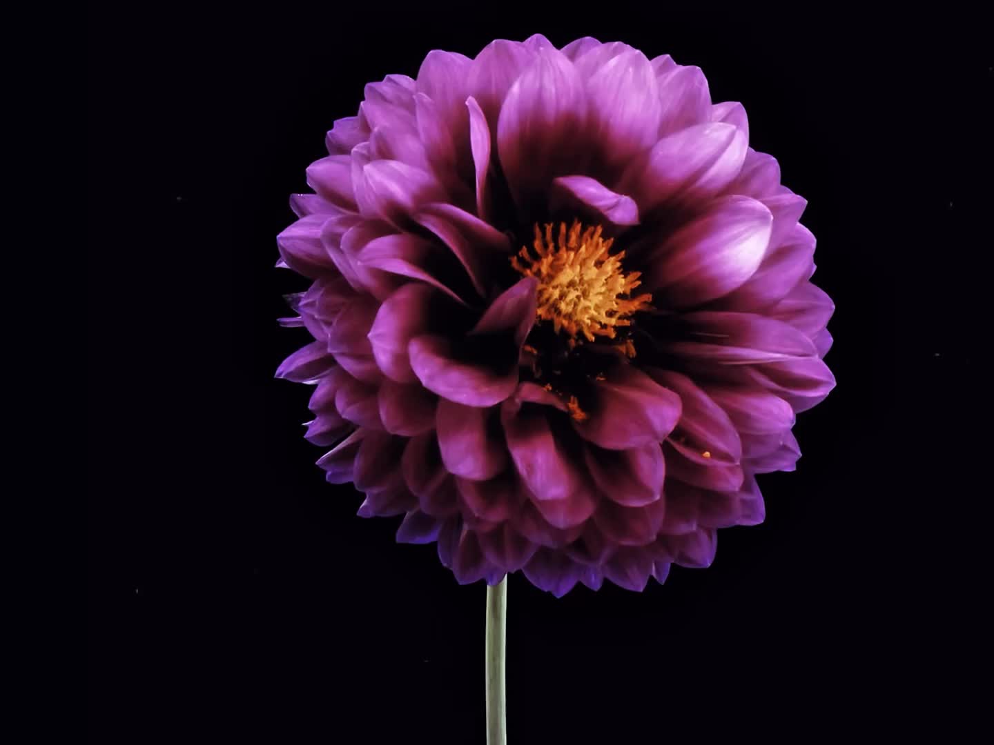 @ᶻ 𝗓 𐰁