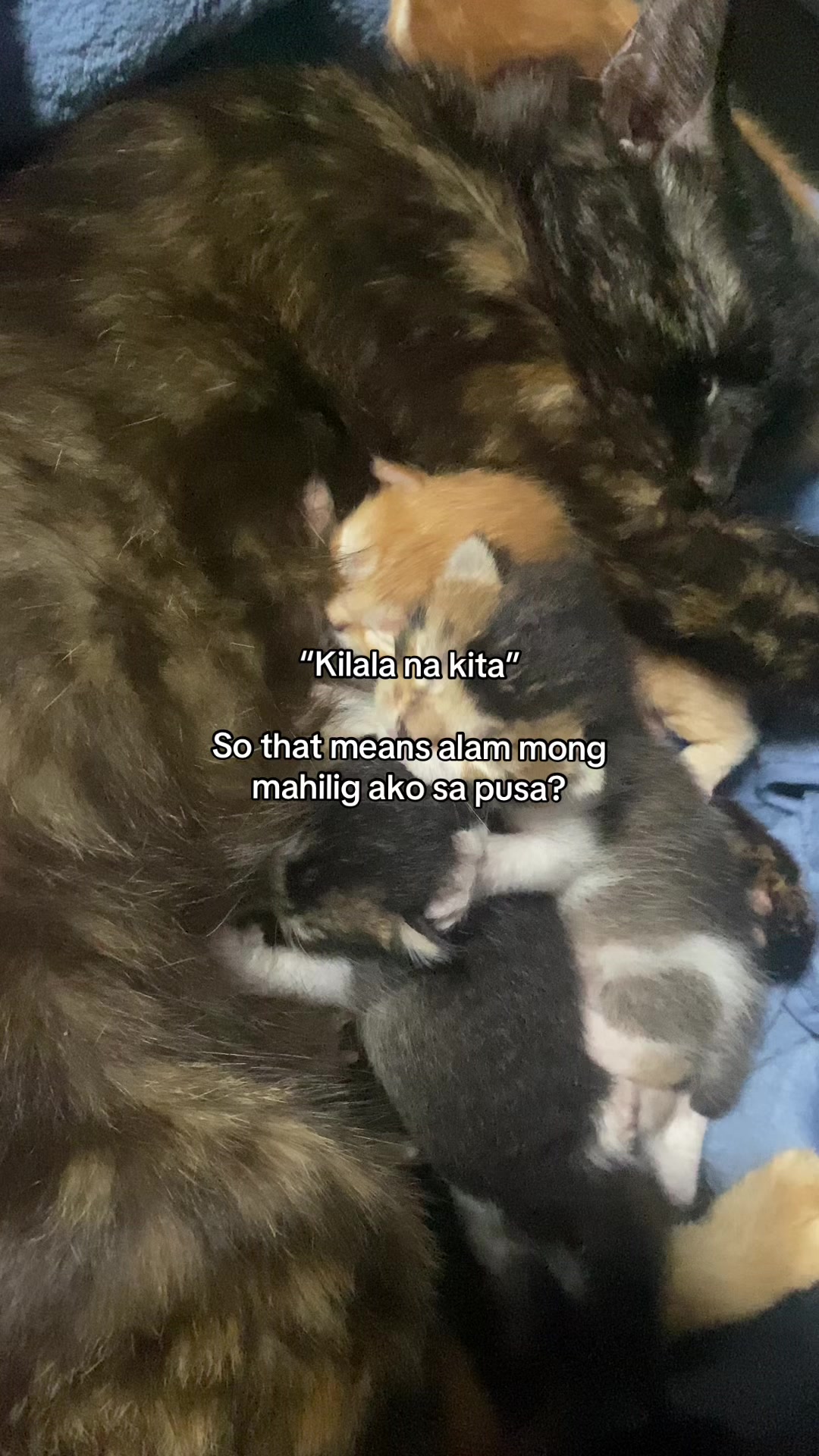 @r