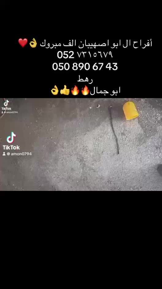 @رامي تبرنه