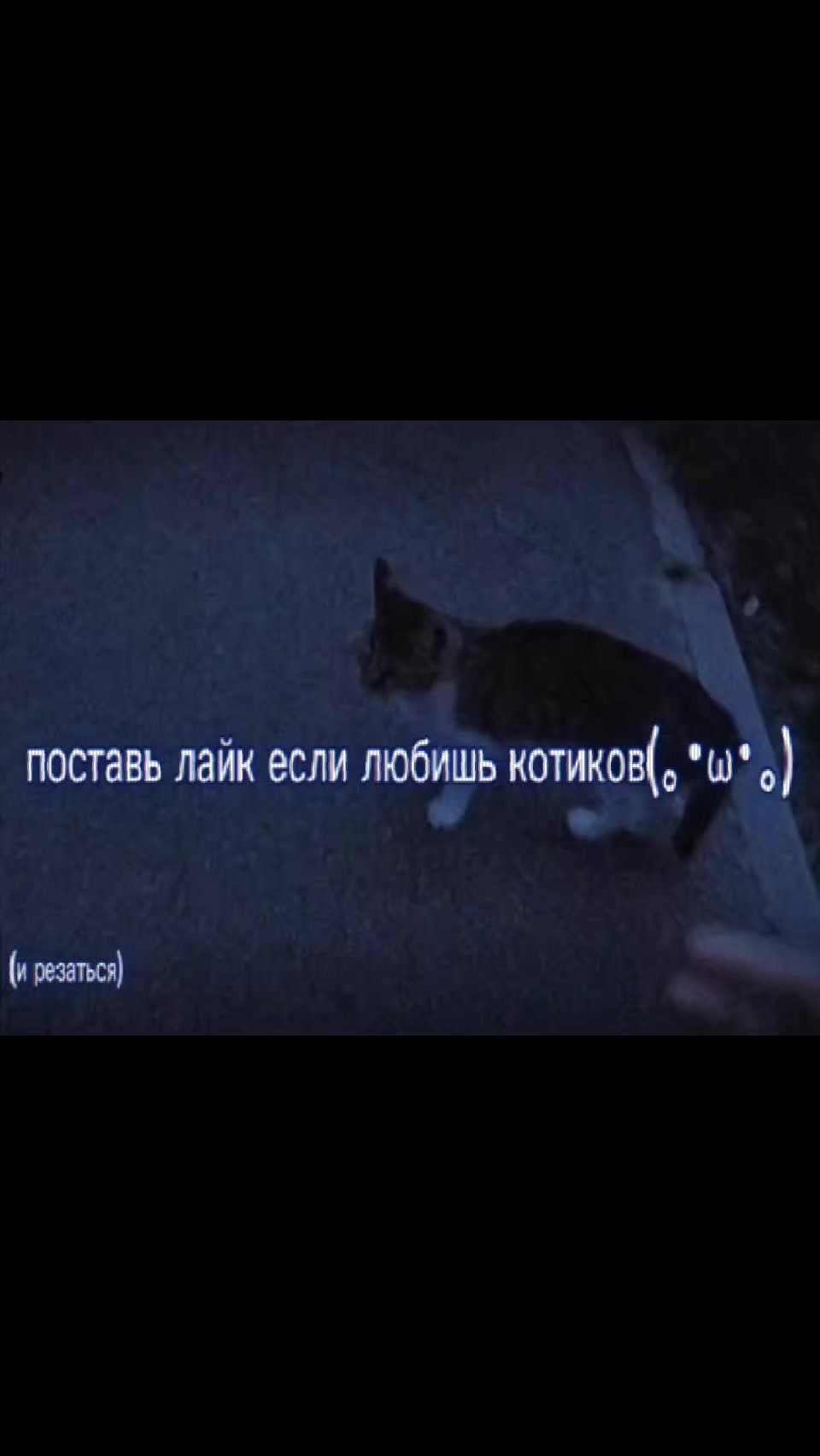 @ну типо ленивая тварь👍🏻