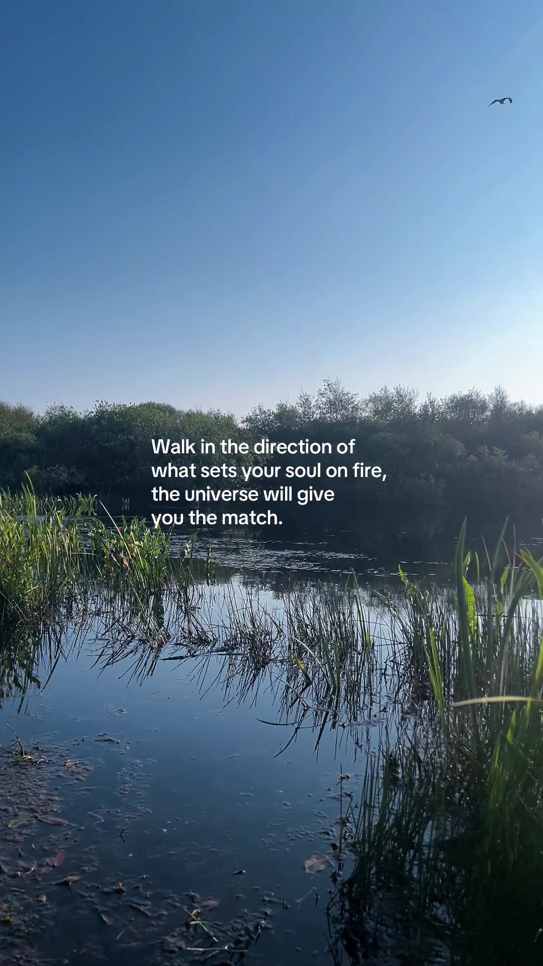 @Inspiredbynature🌿