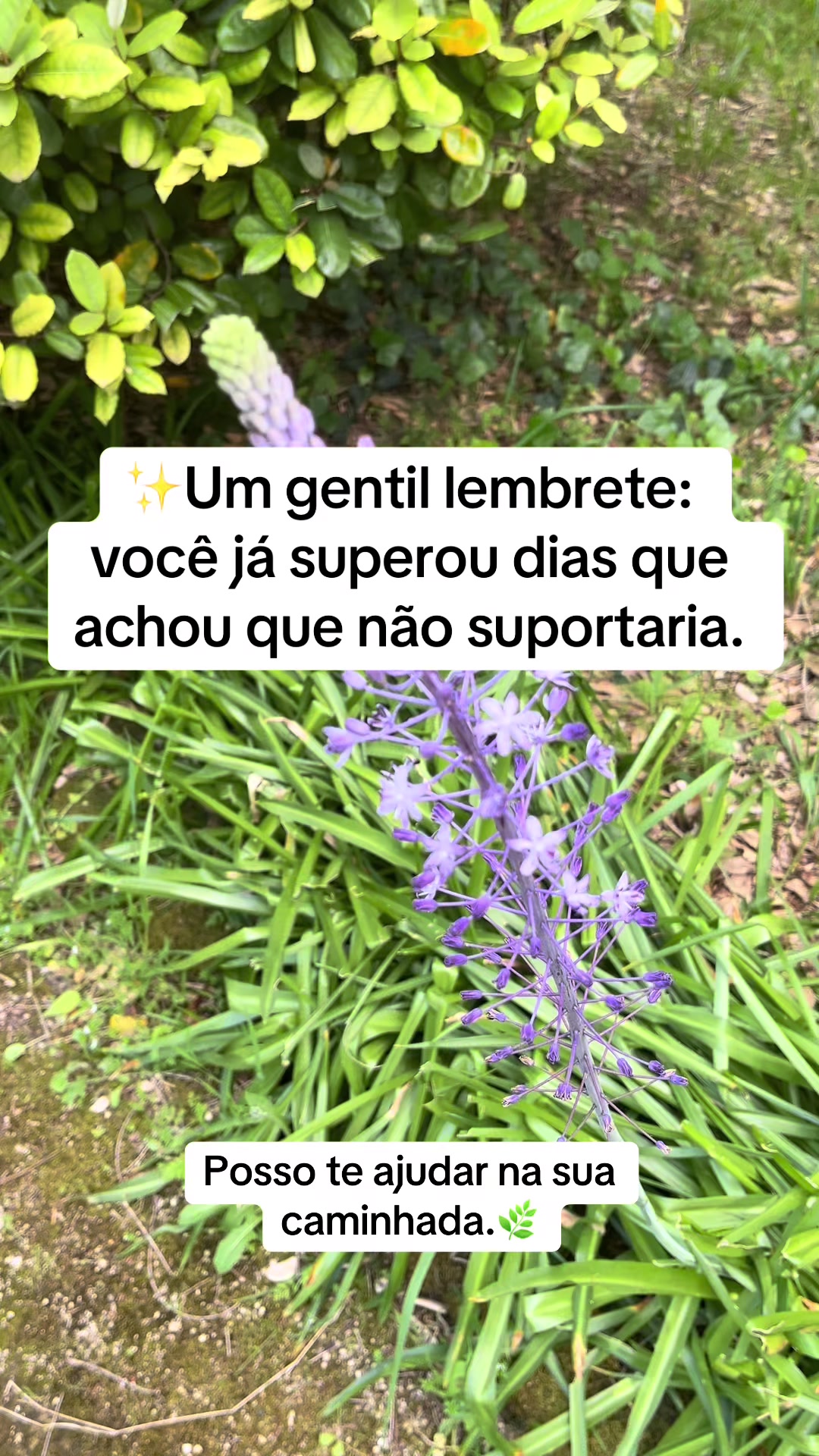 @Vanessa E. Santos | Terapeuta