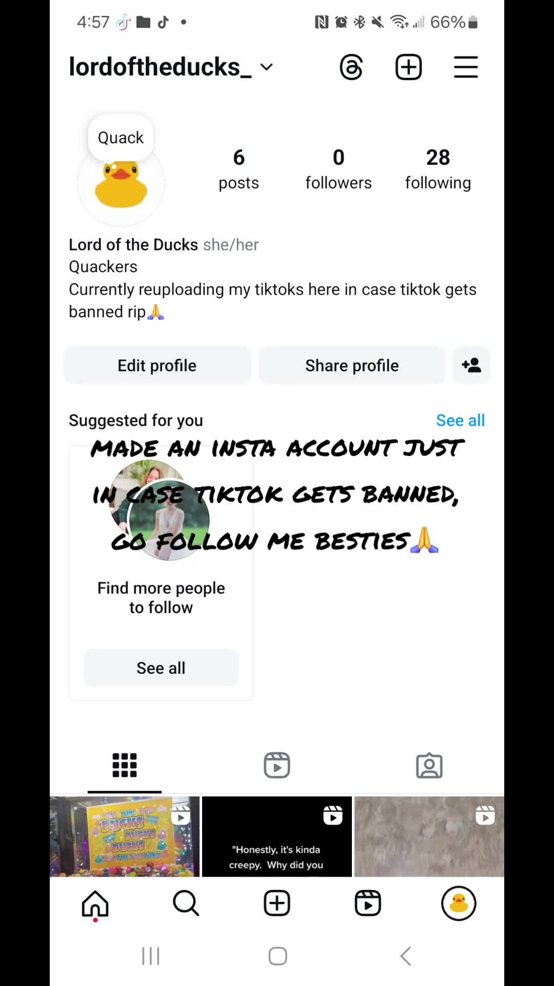 @Lord of the Ducks