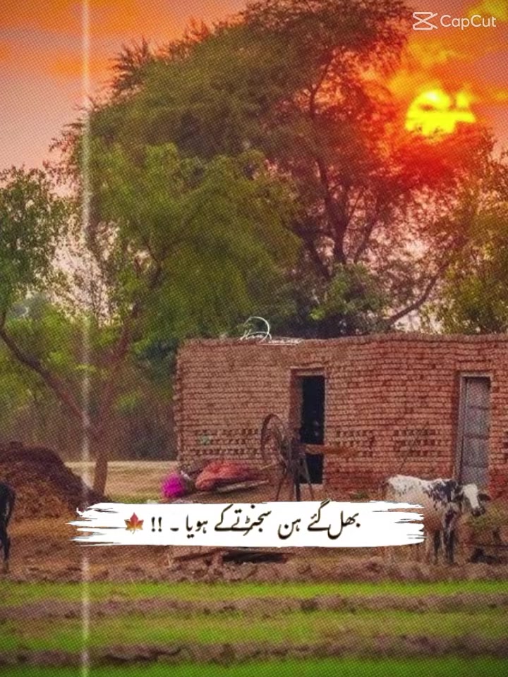 @imran72