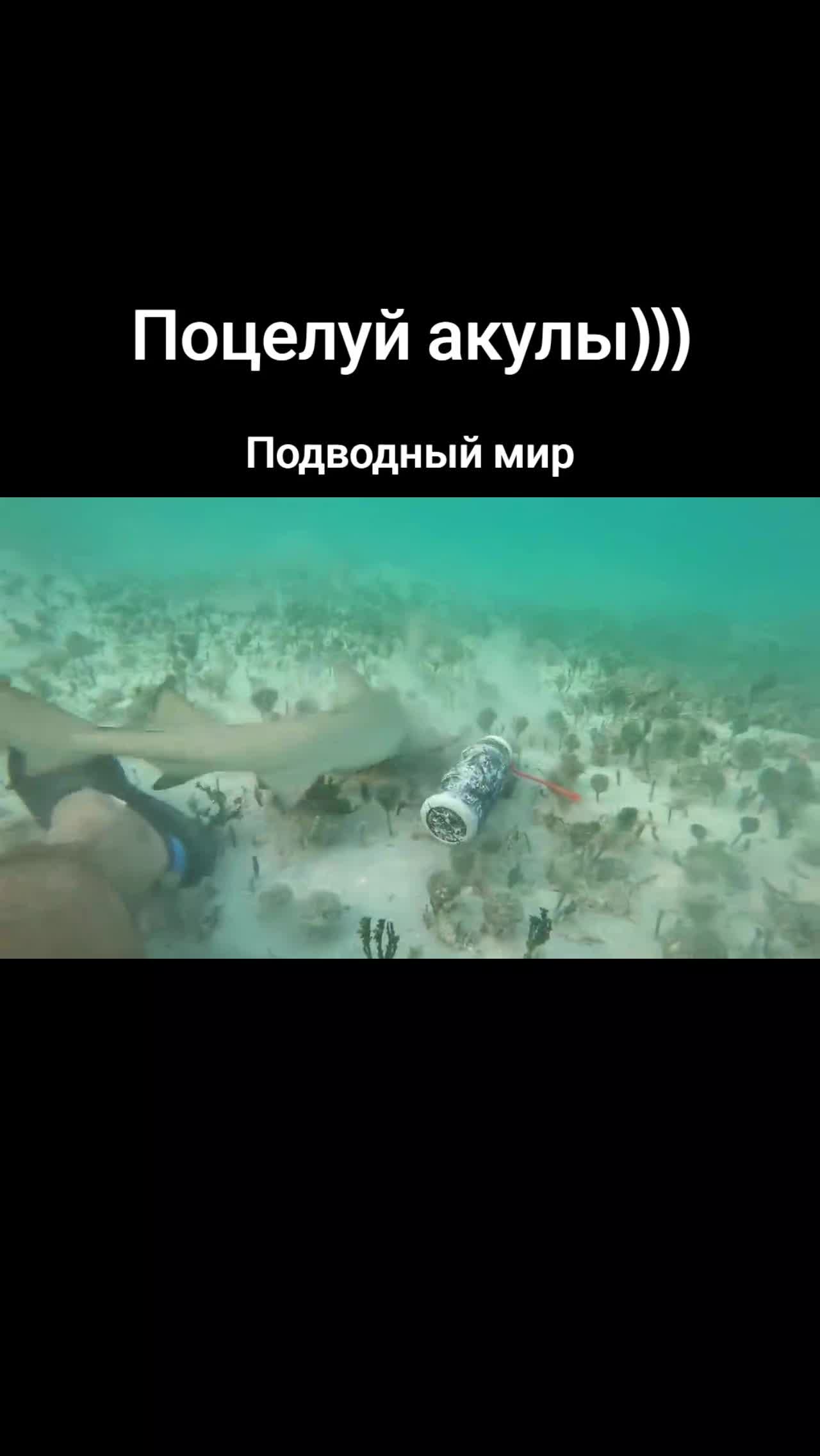 @doyd0we