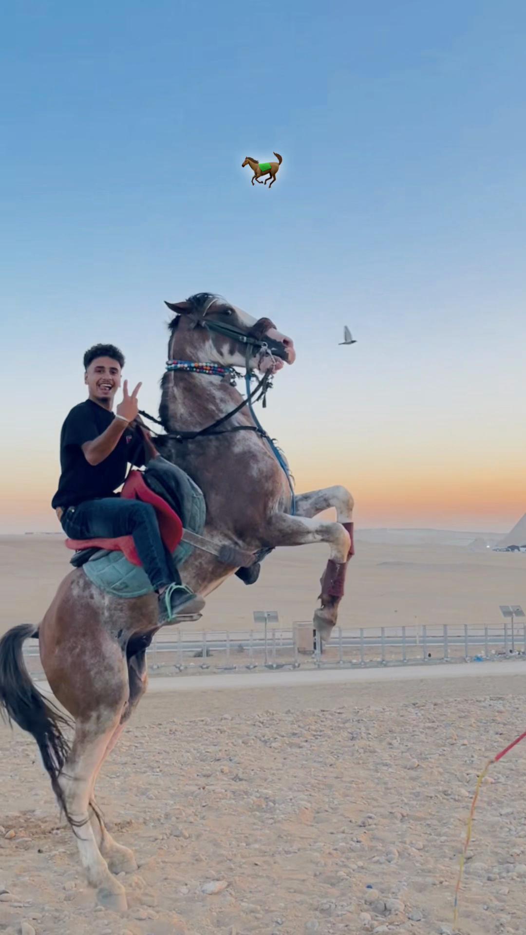 @عُمر وسام :Omar Wesam