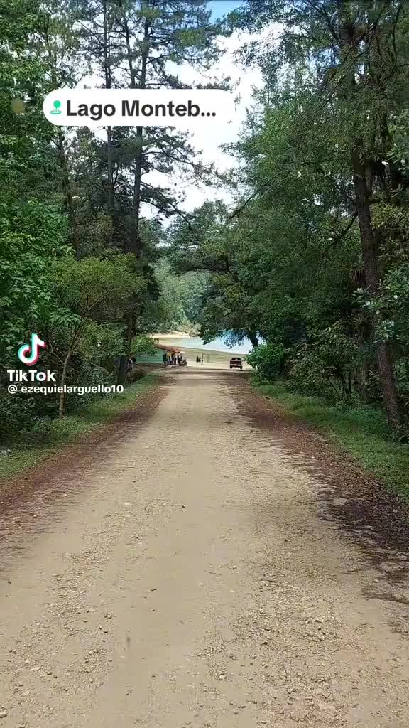 @reina V&aacute;zquez