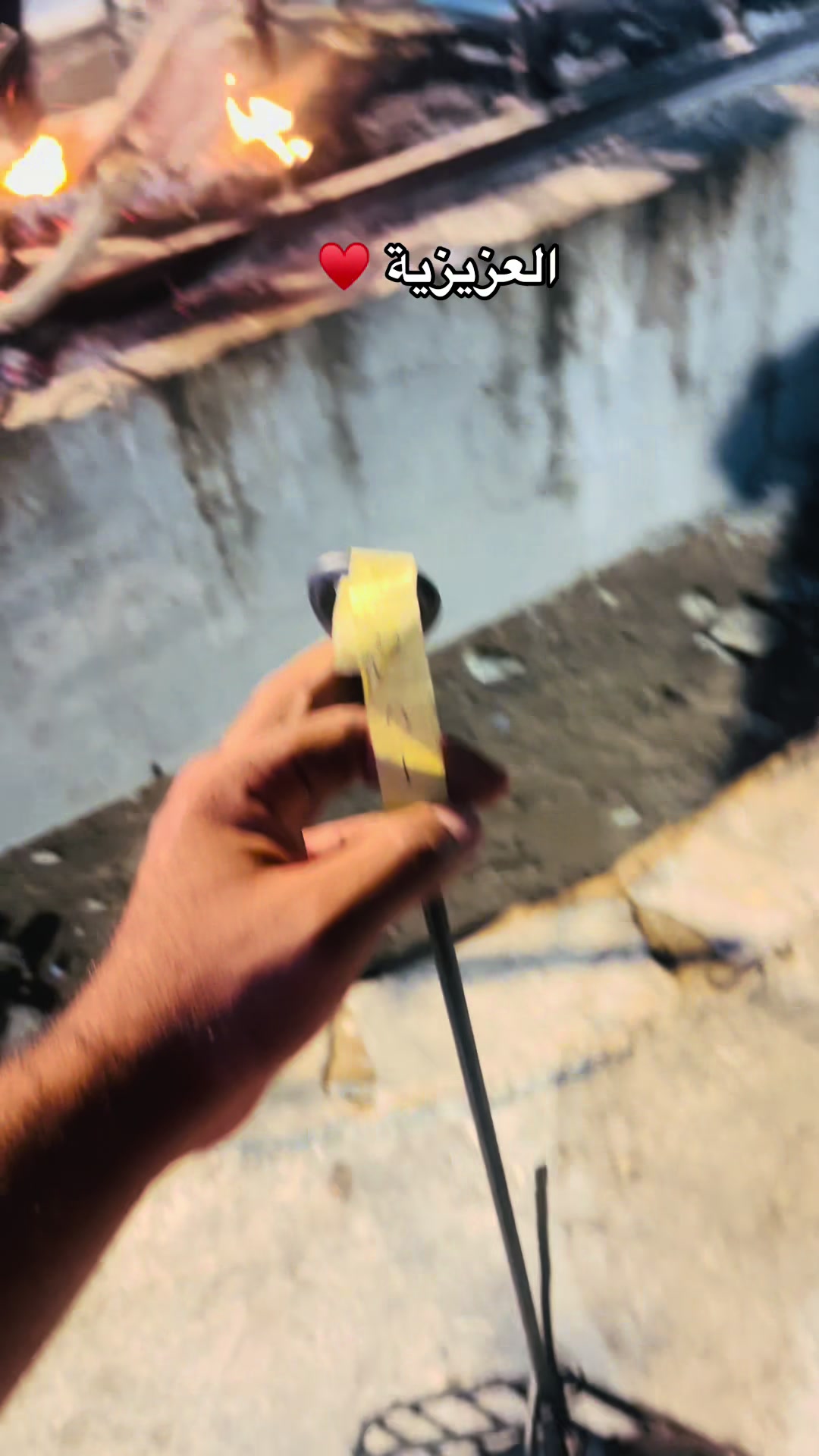 @زاهر علي