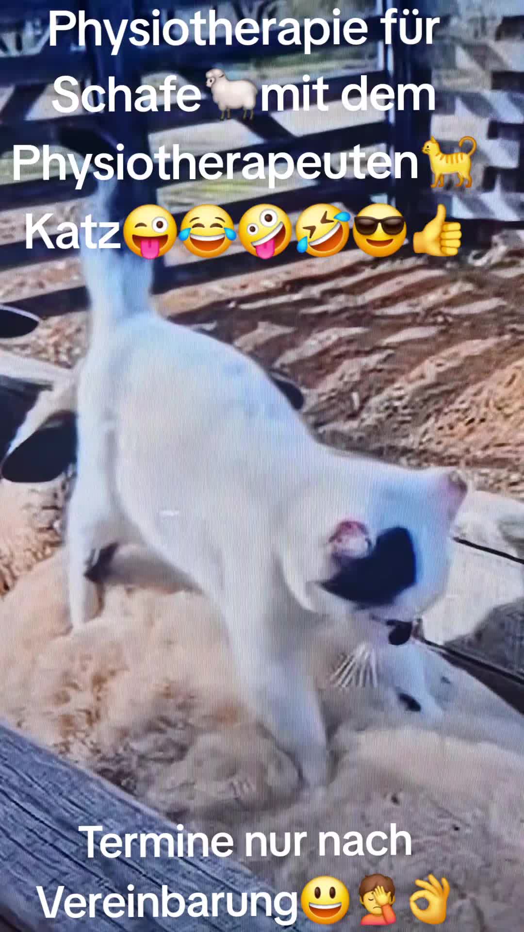 @Klaus_Klaudius