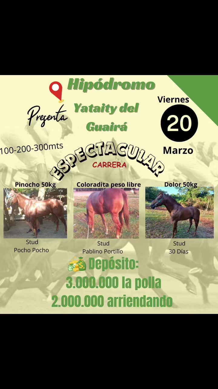 @hip&oacute;dromo Yataity Guair&aacute;.