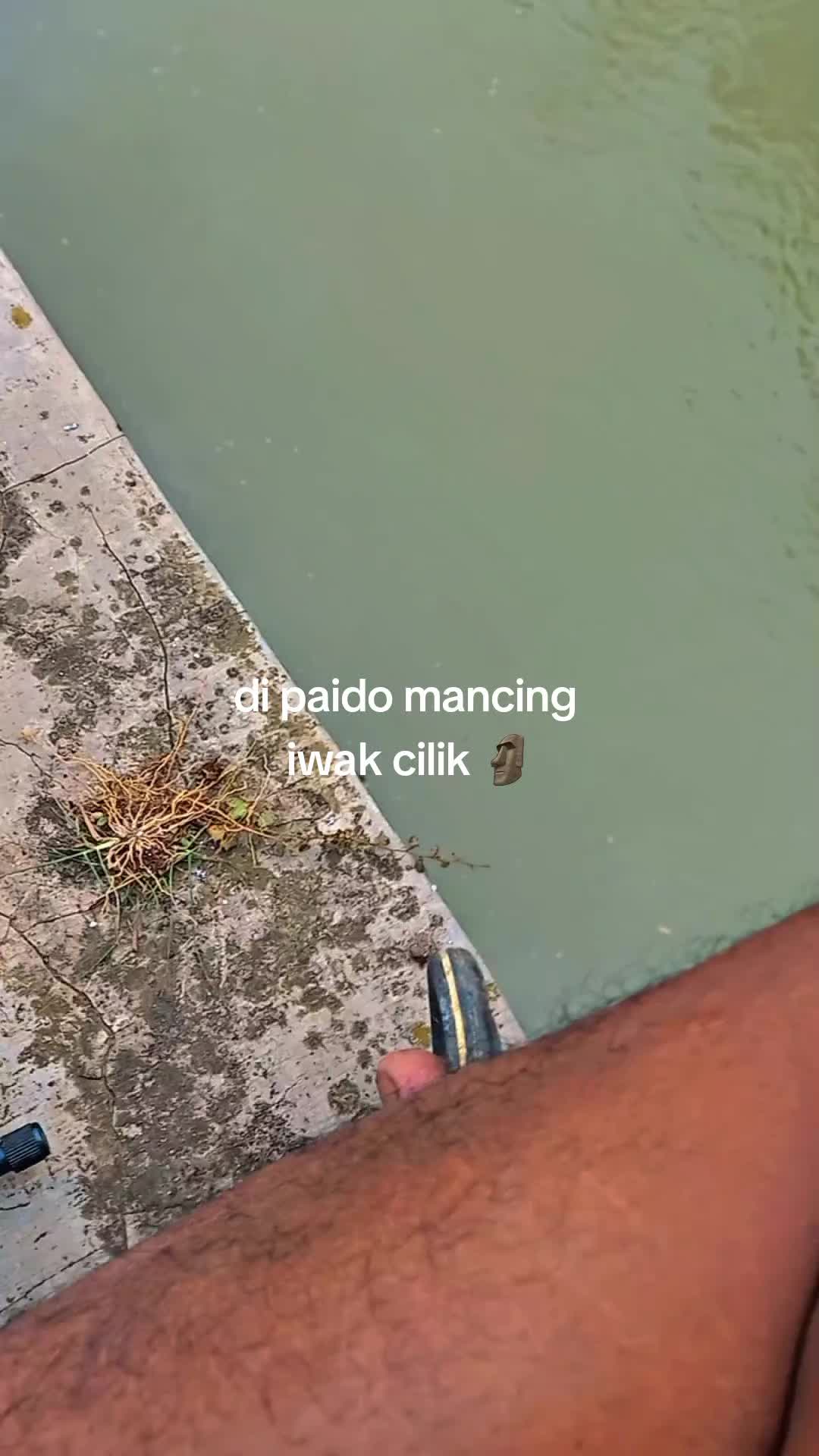 @𝙏𝙮𝙤𝙭𝙯_ska FSNG
