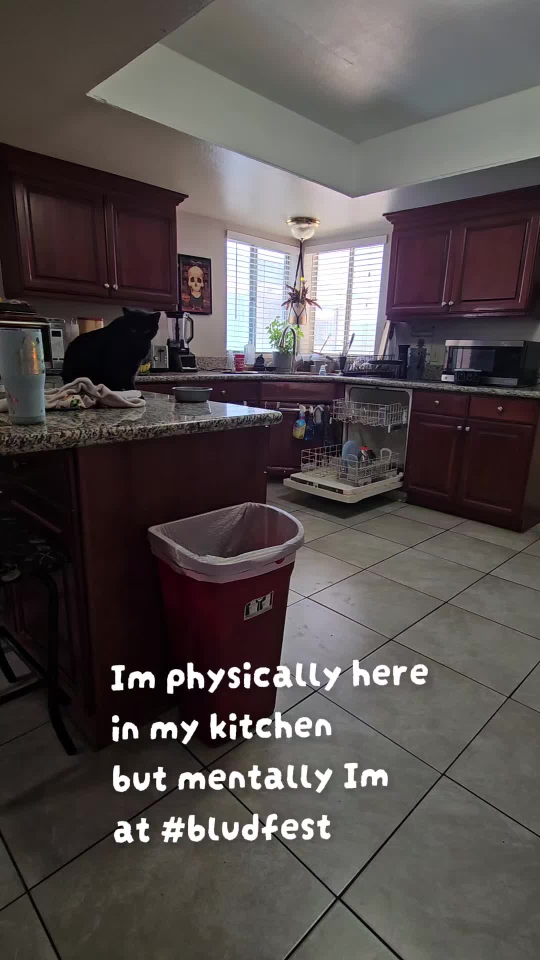 @❌️ Mandy White ❌️