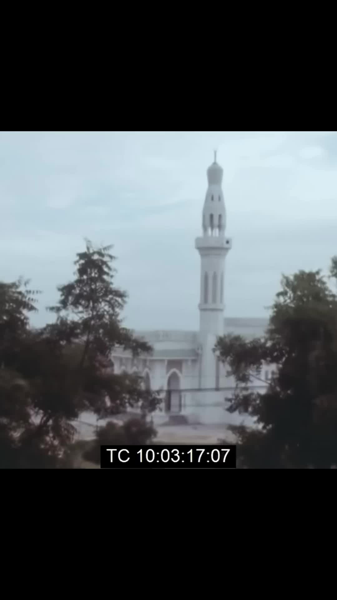 @sultan