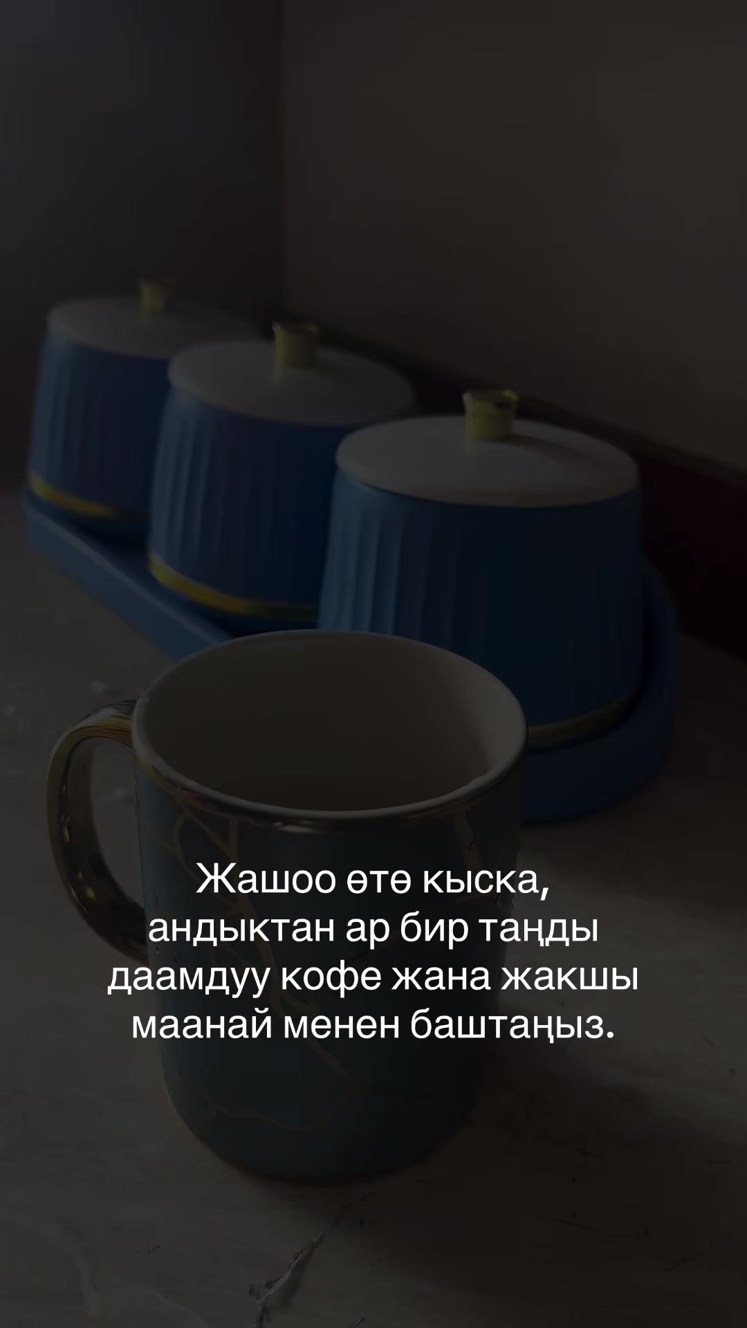 @torty_ot_jibeka