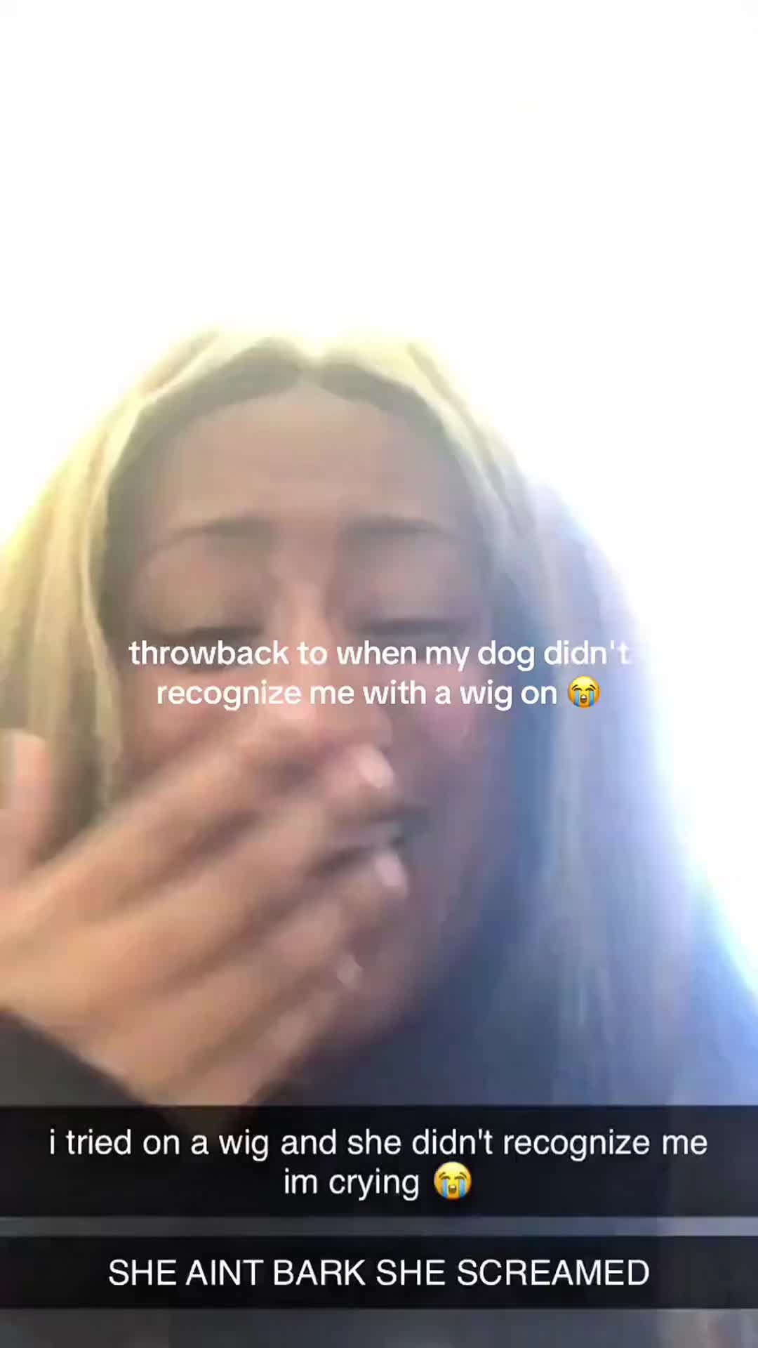 @funnyvideo3782