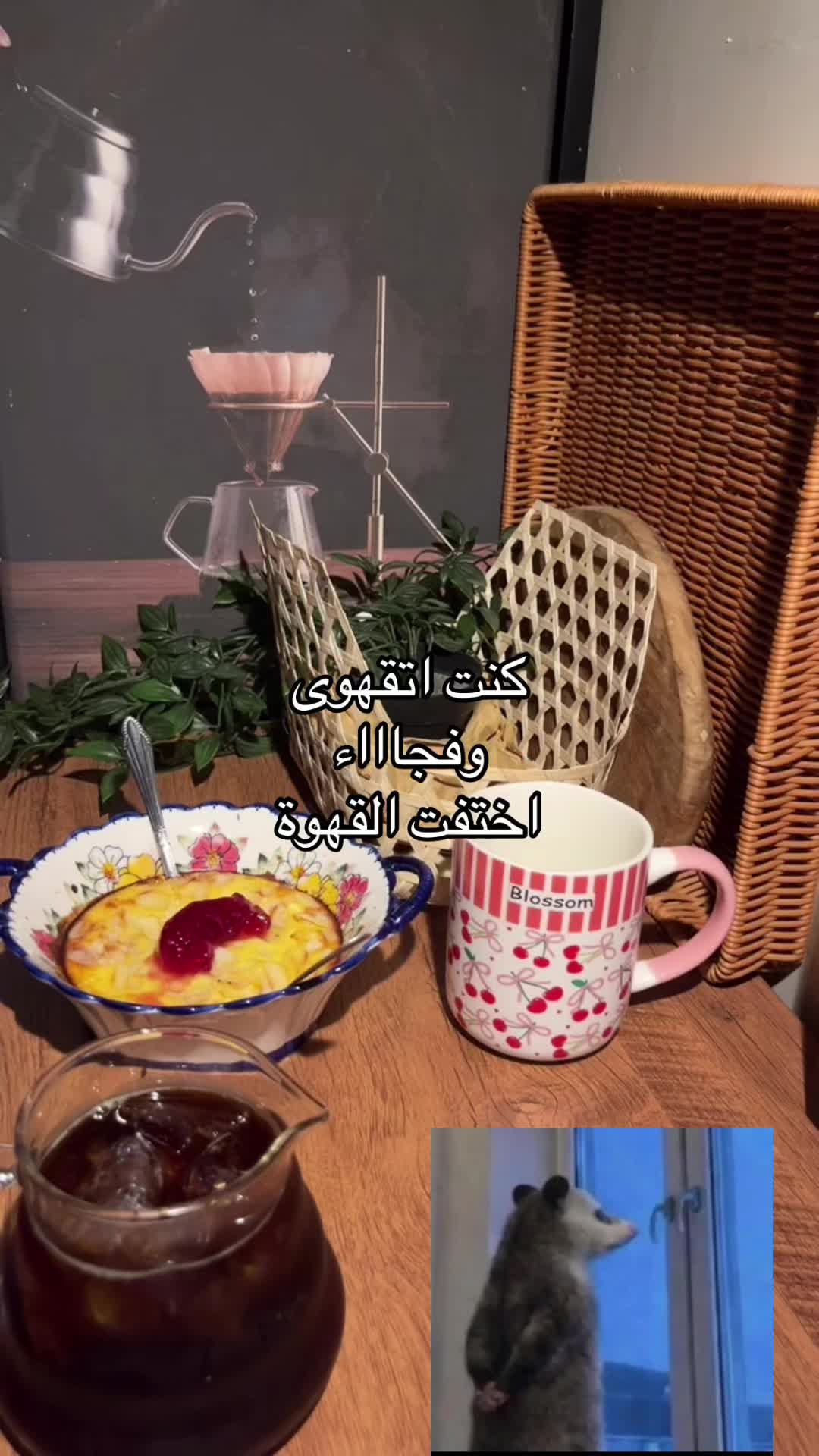 @ندى الشريف
