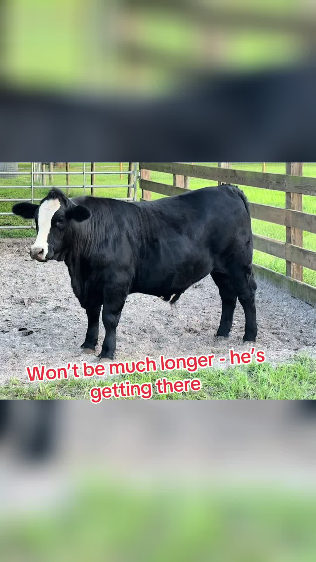 @RRFarmLabs