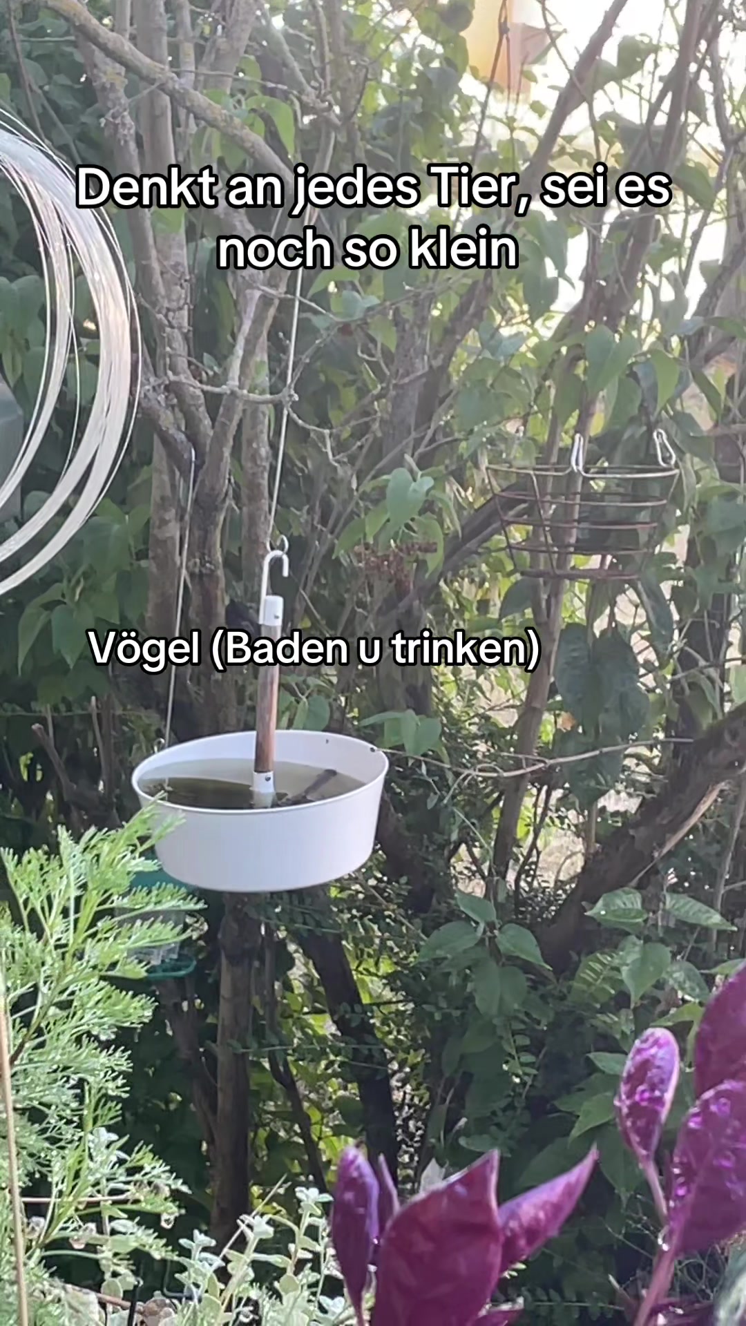 @𝑱𝒂𝒔𝒎𝒊𝒏🦋
