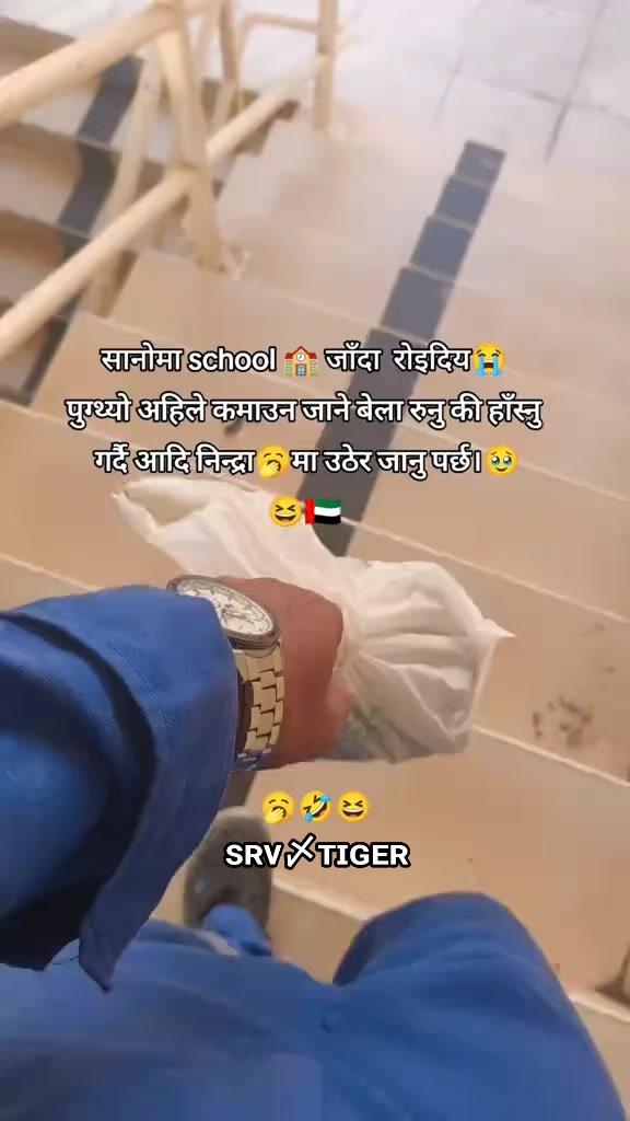 @ꜱʀᴠ〆ᴛɪɢᴇʀ