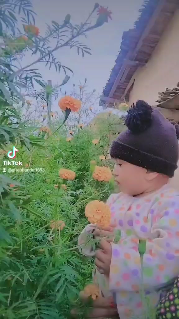 @Ram Prasad Upadhyaya